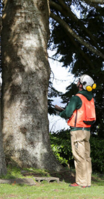 Foto sezione sito Settori (4)