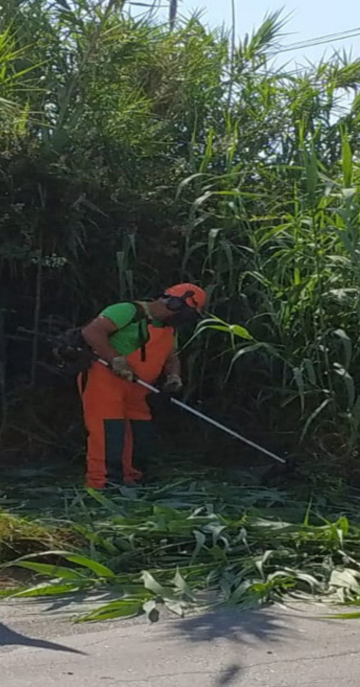 Foto sezione sito Settori (5)